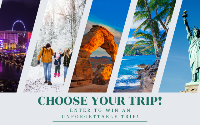 Trippin’ With Steve – Choose Your Trip!